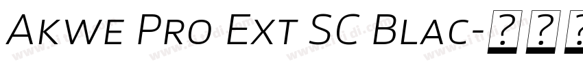 Akwe Pro Ext SC Blac字体转换